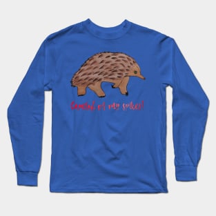 Be Careful of my Spikes Echidna Long Sleeve T-Shirt